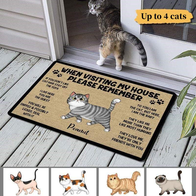 Personalized DoorMat - Dogs and Cats - Remember When Visiting Our  House.Custom Welcome Mats, Cat Lover, Dog