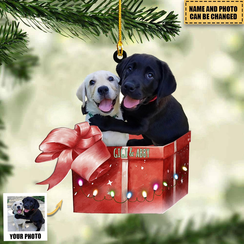 Personalized Pet Photo Mica Ornament Christmas Gift For Pet Lovers