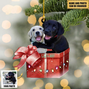 Personalized Pet Photo Mica Ornament Christmas Gift For Pet Lovers