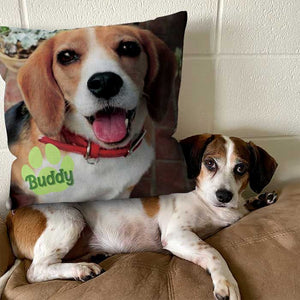 Pet's Face On A Pillow - Personalized Pillow