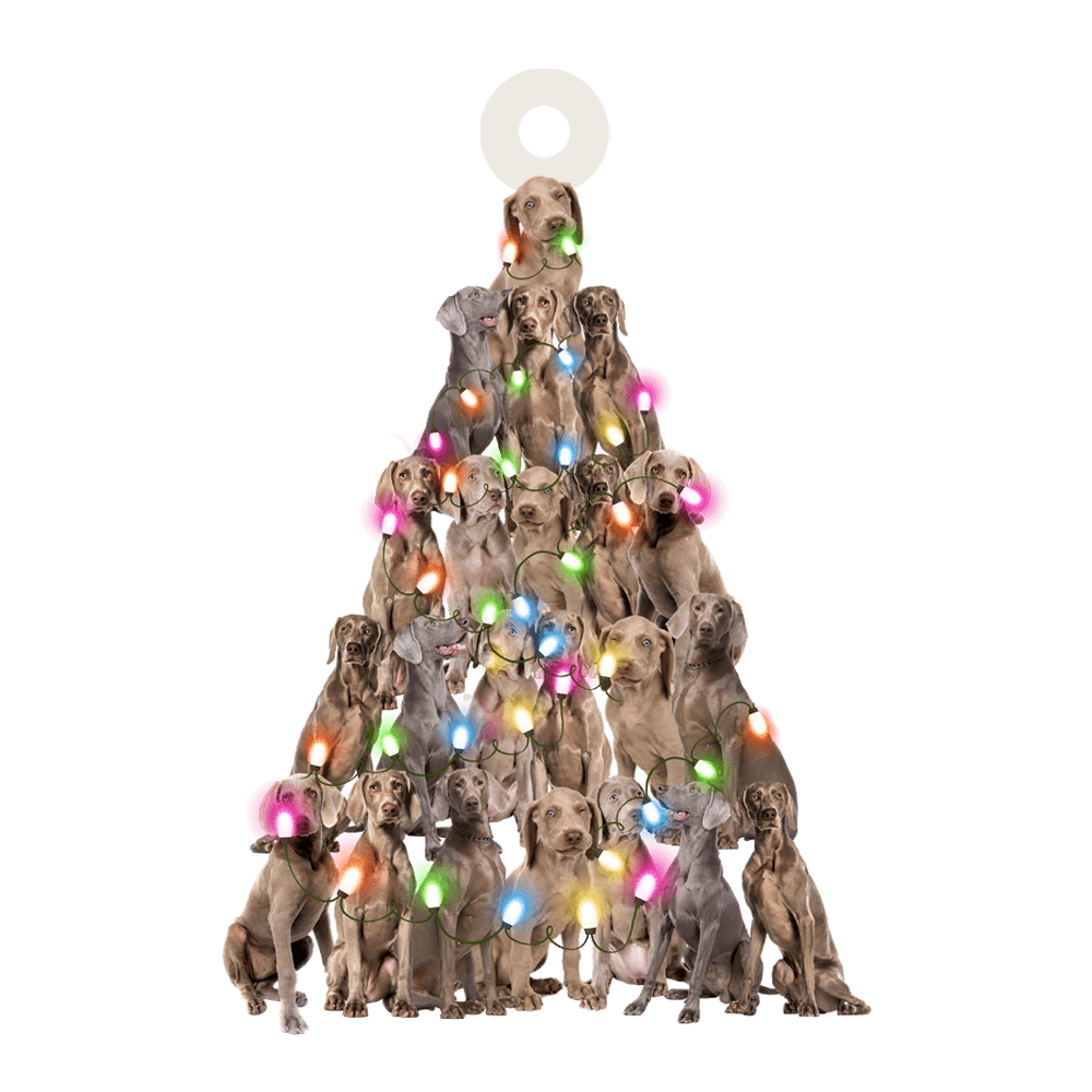 Weimaraner lovely tree gift for Weimaraner lover gift for dog lover ornament