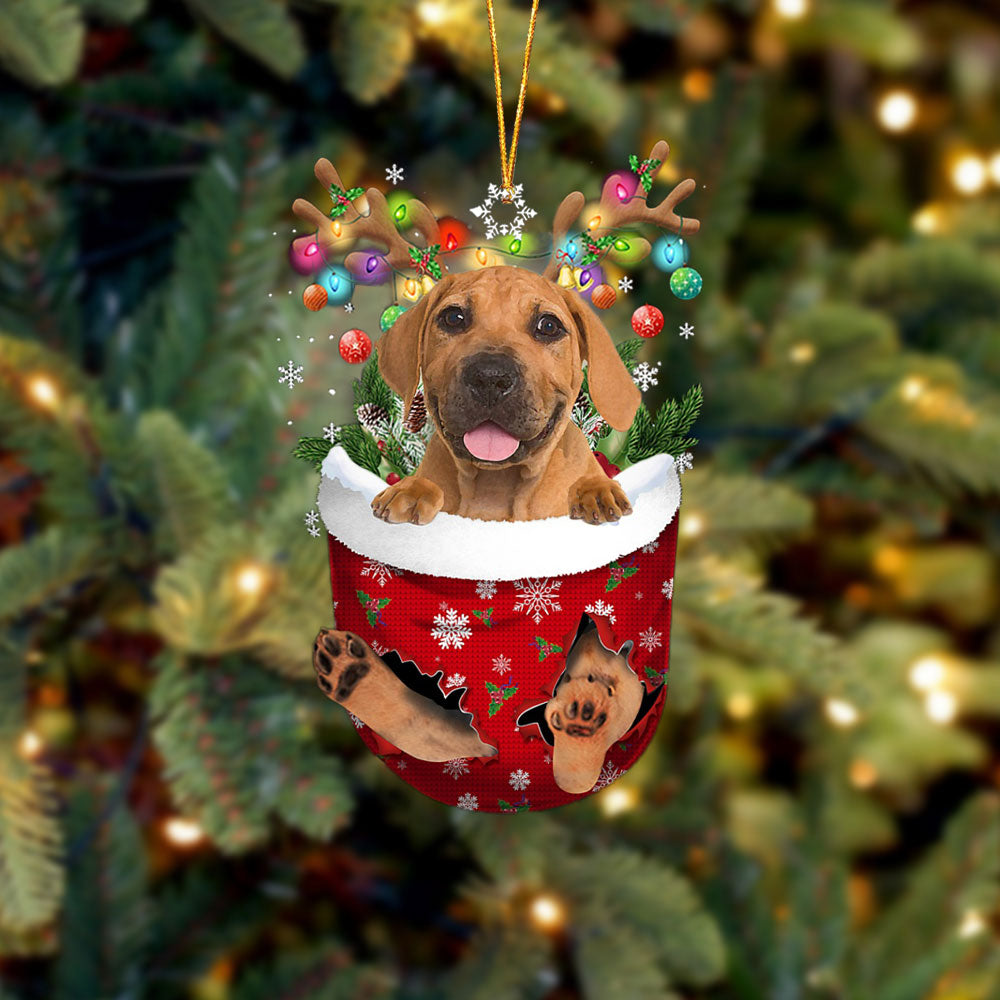 Boerboel In Snow Pocket Christmas Ornament