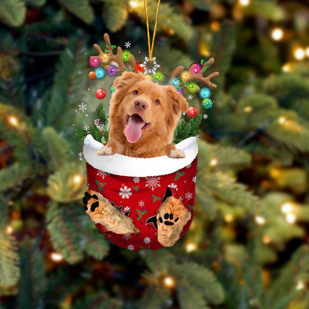 Nova Scotia Duck Tolling Retriever In Snow Pocket Christmas Ornament