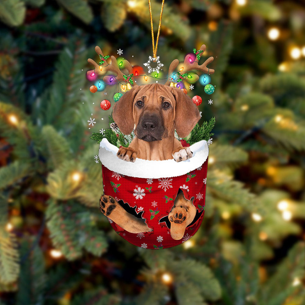 Rhodesian Ridgeback In Snow Pocket Christmas Ornament