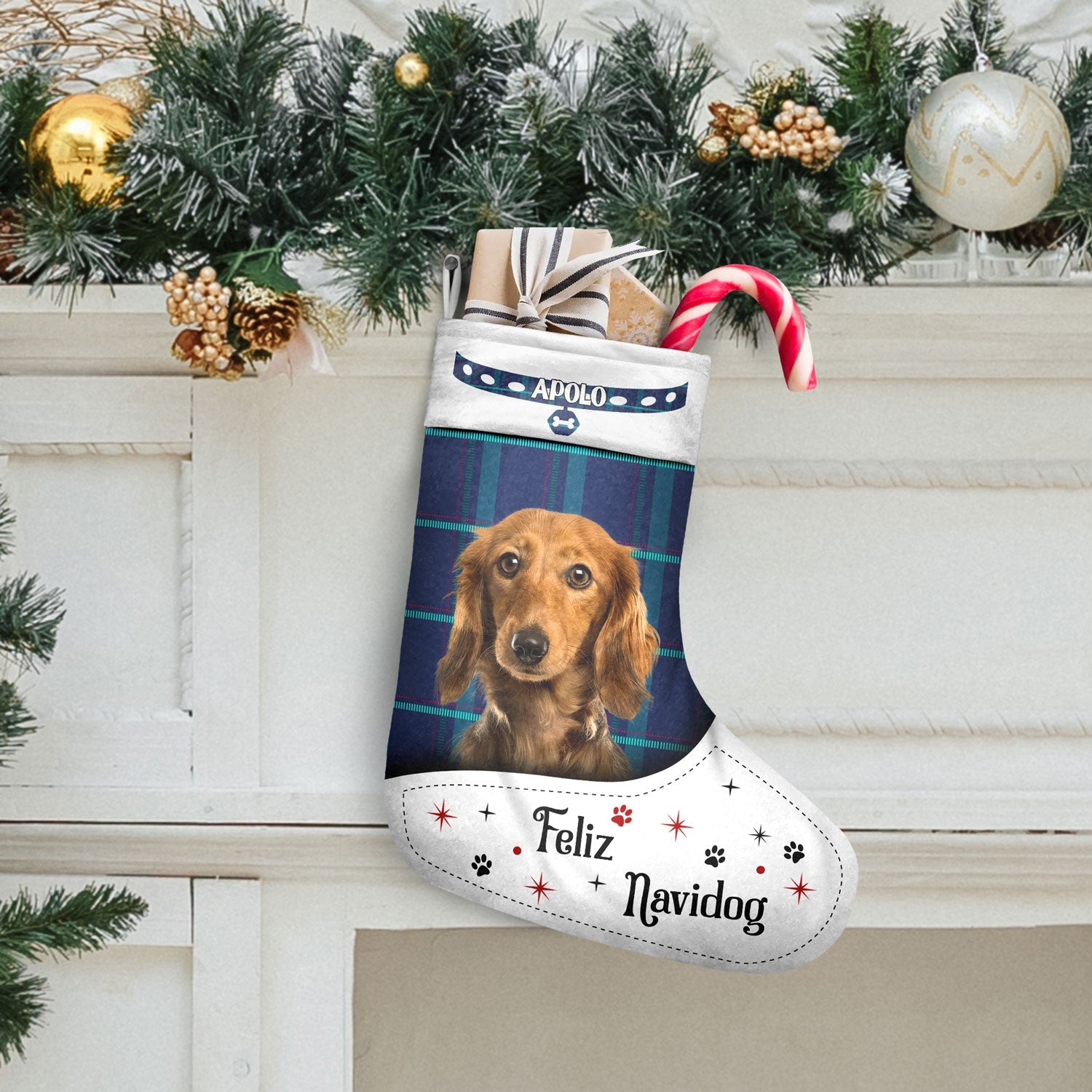 Dear Santa Define Naughty Christmas Dog - Christmas Gift For Dog