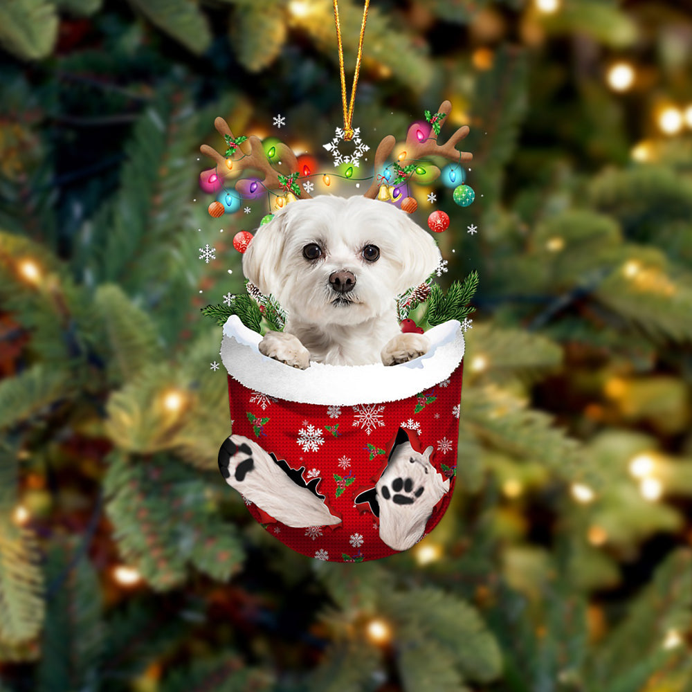 WHITE Maltese In Snow Pocket Christmas Ornament